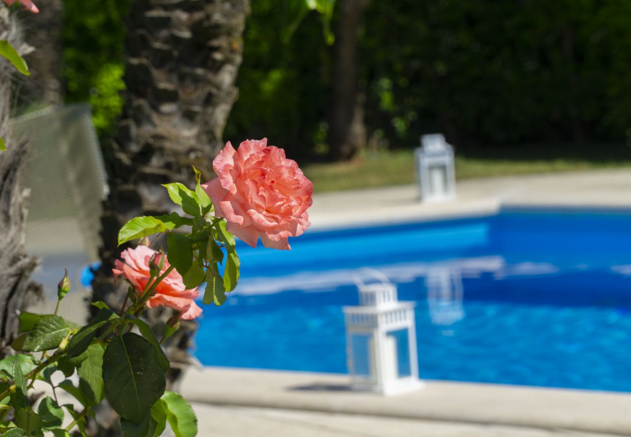 Villa a Vico Equense - Stunning Villa Vesuvian view