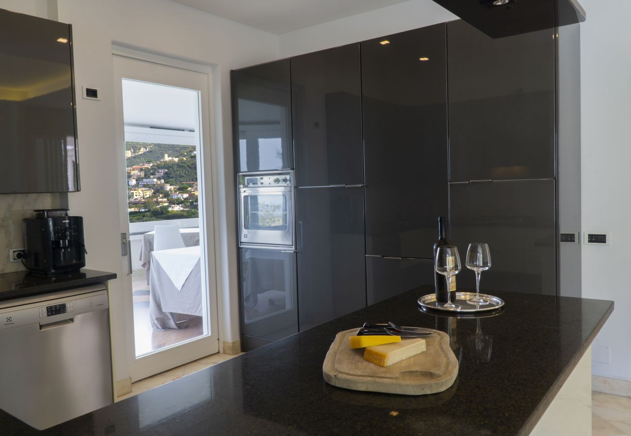 Villa a Vico Equense - Stunning Villa Vesuvian view