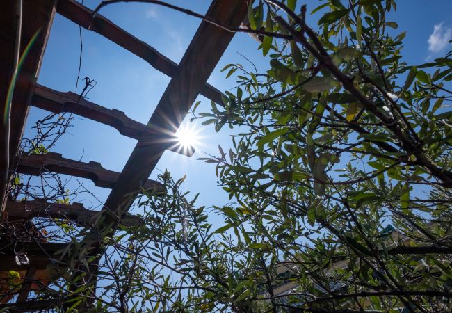 Studio a Roma - Amazing Penthouse with Terrace by Caracalla Studio a Roma - Amazing Penthouse with Terrace by Caracalla