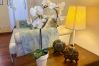 Appartamento a Roma - Family 2 BR Colosseum Charming + Small Balcony Appartamento a Roma - Family 2 BR Colosseum Charming + Small Balcony