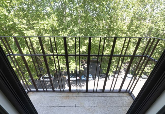 Appartamento a Roma - Testaccio Luminous and Large Apartment Appartamento a Roma - Testaccio Luminous and Large Apartment