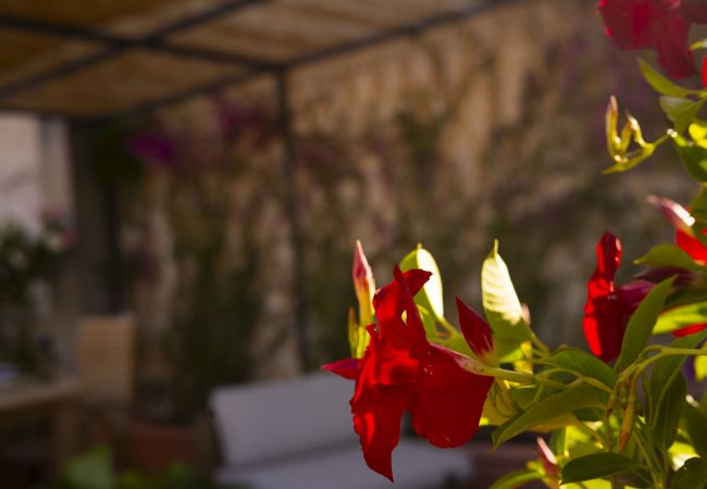 Appartamento a Roma - Trastevere Outstanding  4 BR Terraced Apartment Appartamento a Roma - Trastevere Outstanding  4 BR Terraced Apartment