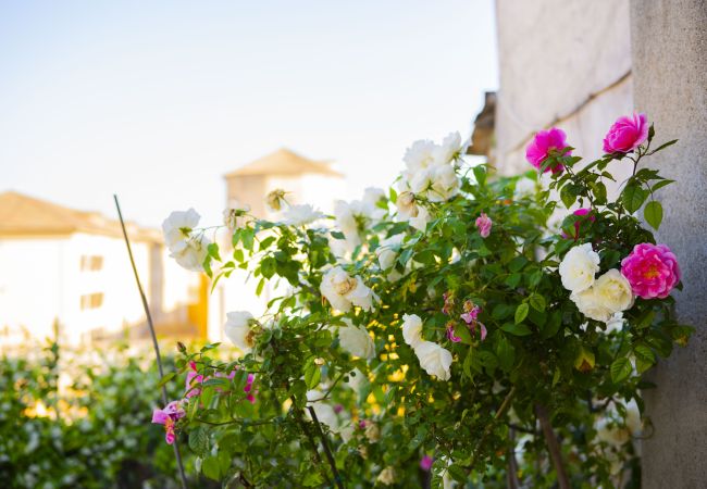 Appartamento a Roma - Trastevere Outstanding  4 BR Terraced Apartment Appartamento a Roma - Trastevere Outstanding  4 BR Terraced Apartment