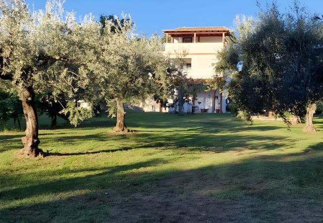 Casa a Nerola - Country House with Pool in Nerola Casa a Nerola - Country House with Pool in Nerola