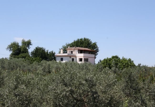 Casa a Nerola - Country House with Pool in Nerola Casa a Nerola - Country House with Pool in Nerola