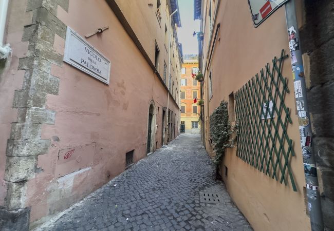 Appartamento a Roma - Piazza Navona Lovely Nest Appartamento a Roma - Piazza Navona Lovely Nest