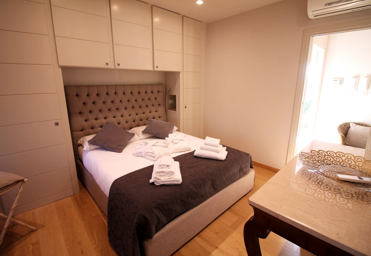 Apartment in Rome - See St. Peter from a Wonderful Terrace