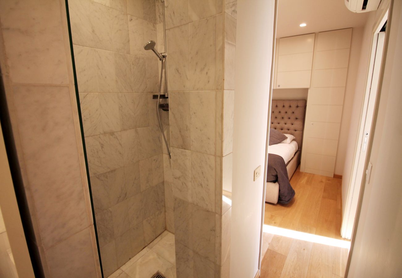 Apartment in Rome - See St. Peter from a Wonderful Terrace