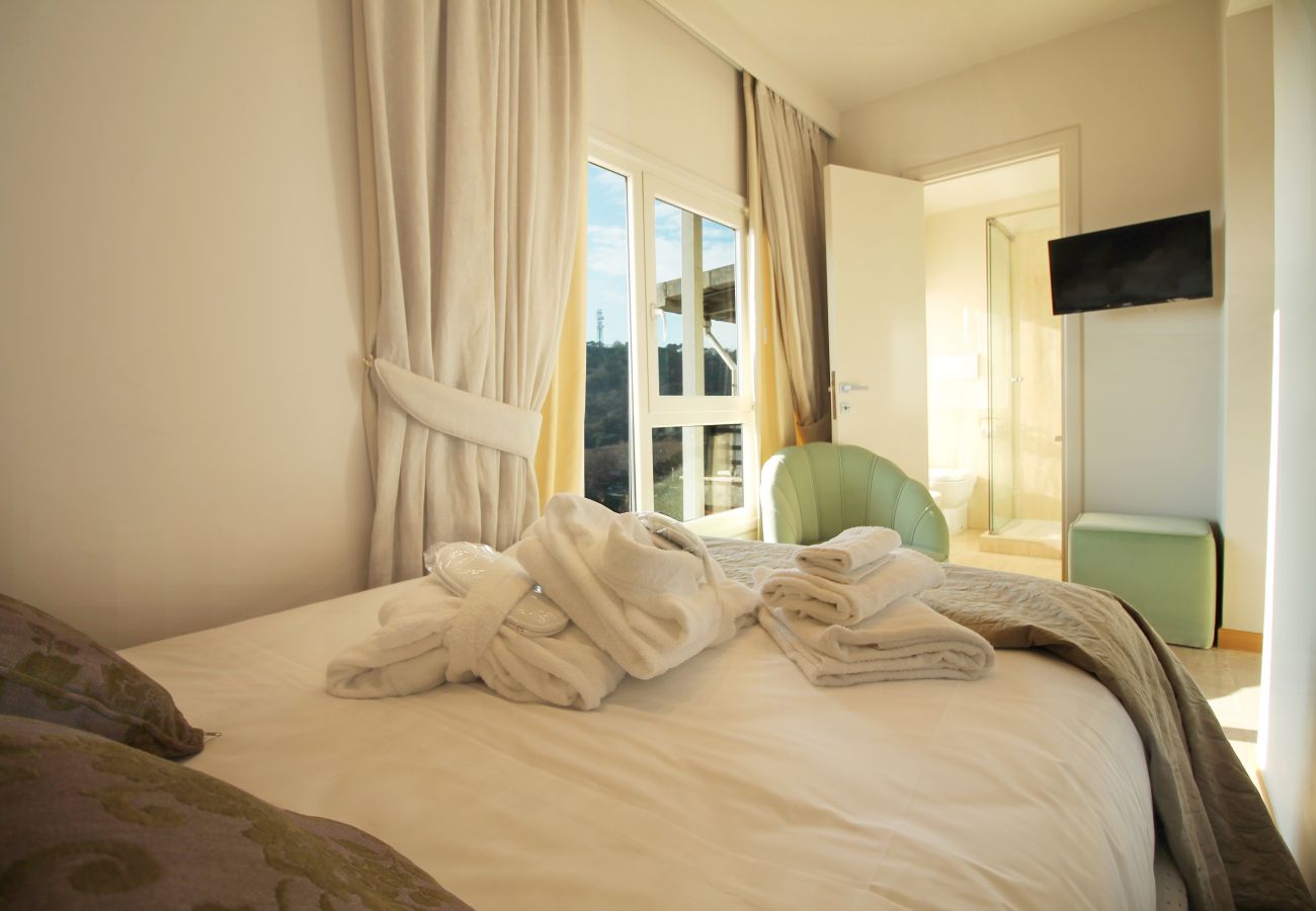 Apartment in Rome - See St. Peter from a Wonderful Terrace