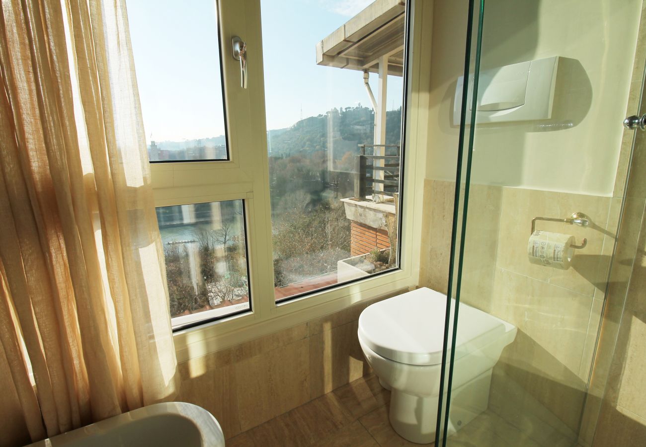 Apartment in Rome - See St. Peter from a Wonderful Terrace