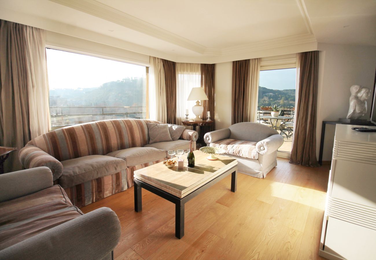 Apartment in Rome - See St. Peter from a Wonderful Terrace