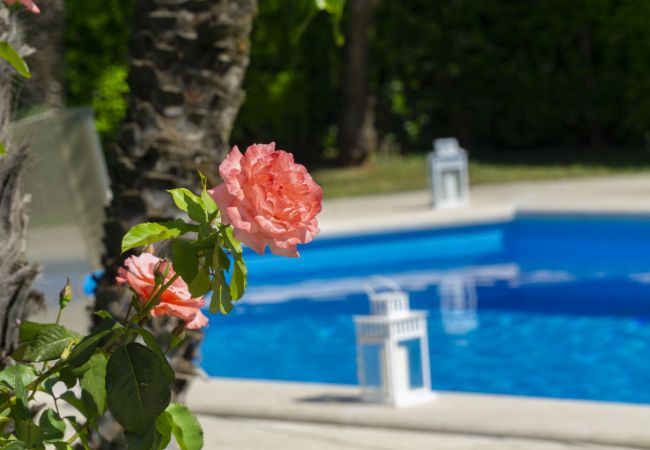 Villa in Vico Equense - Stunning Villa Vesuvian view Villa in Vico Equense - Stunning Villa Vesuvian view