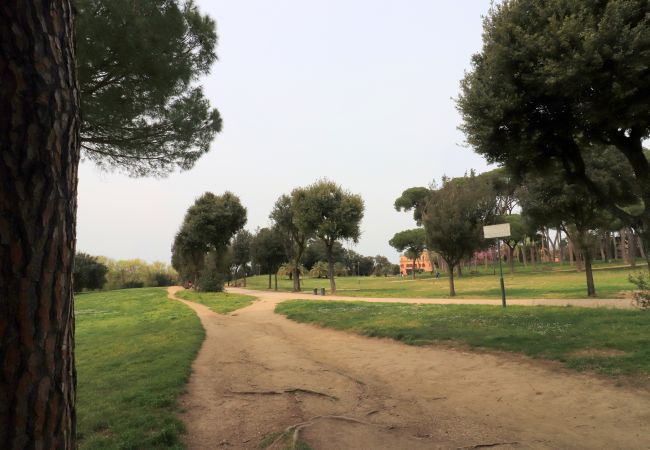 Apartment in Roma - American Uni 2Br Lovely Apt Apartment in Roma - American Uni 2Br Lovely Apt