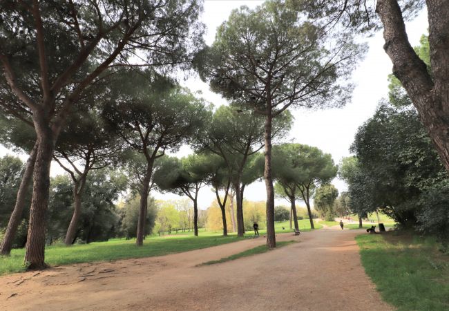Apartment in Roma - American Uni 2Br Lovely Apt Apartment in Roma - American Uni 2Br Lovely Apt