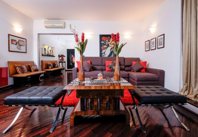 Studio in Roma - Amazing Penthouse with Terrace by Caracalla Studio in Roma - Amazing Penthouse with Terrace by Caracalla