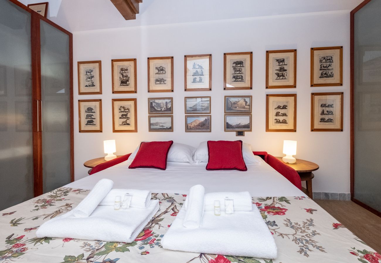 Studio in Rome - Campo de Fiori cozy nest