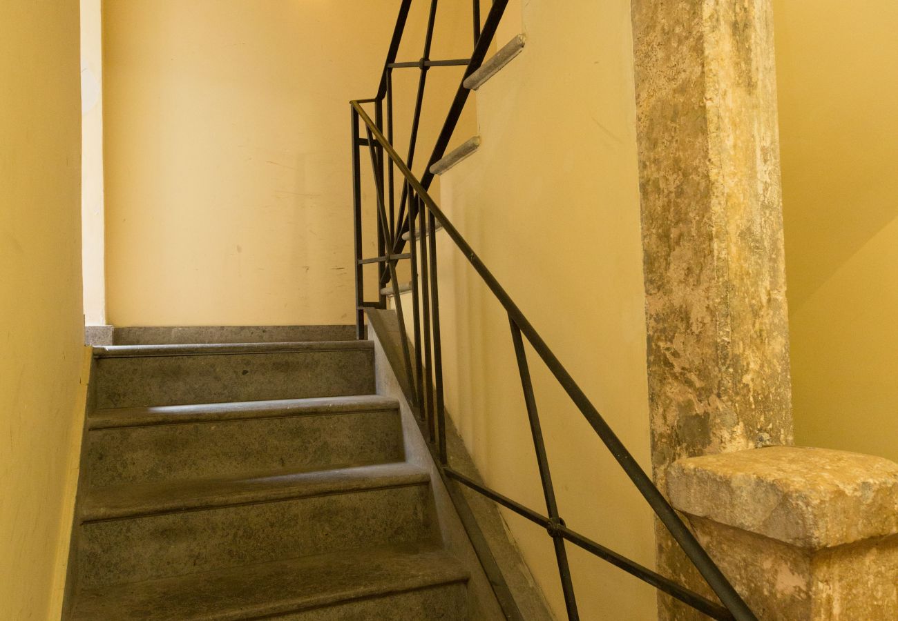 Apartment in Rome - Turtle Fountain Society