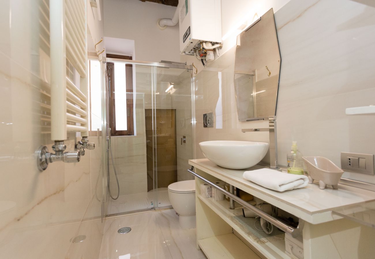 Apartment in Rome - Turtle Fountain Society