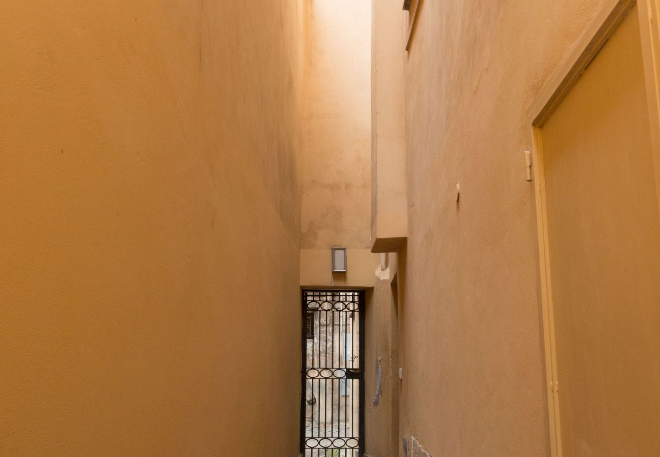 Apartment in Rome - Turtle Fountain Society