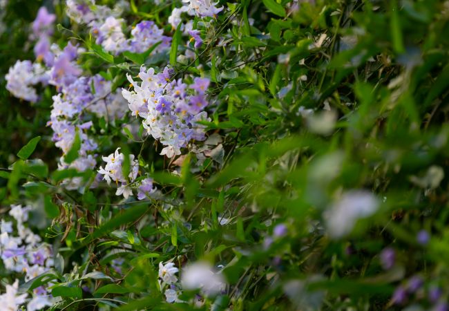 Apartment in Roma - Monti Romantic Sunshine Maisonette Apartment in Roma - Monti Romantic Sunshine Maisonette