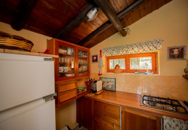 Villa in Rocca di Papa - Elegant & Charming Family Country House near Rome Villa in Rocca di Papa - Elegant & Charming Family Country House near Rome