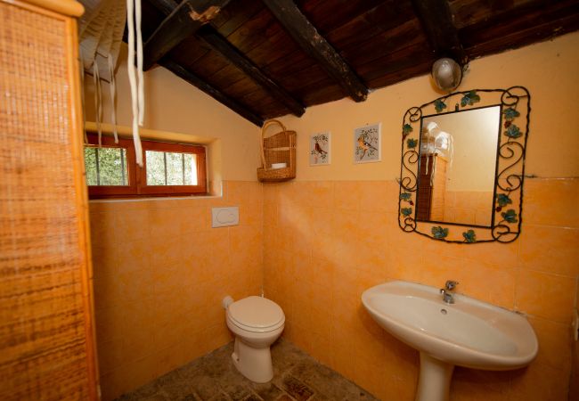 Villa in Rocca di Papa - Elegant & Charming Family Country House near Rome Villa in Rocca di Papa - Elegant & Charming Family Country House near Rome