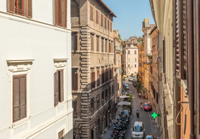 Apartment in Rome - Campo de' Fiori Large and Beautiful Apartment