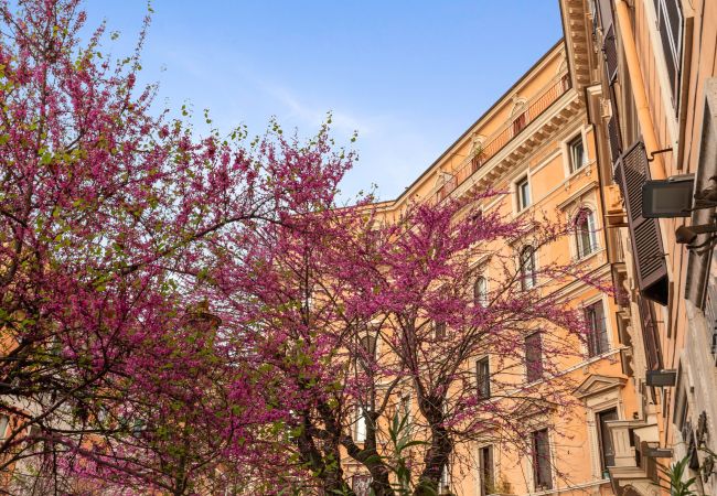 Apartment in Roma - Termini Station Lightsome 3BR Apartment Apartment in Roma - Termini Station Lightsome 3BR Apartment