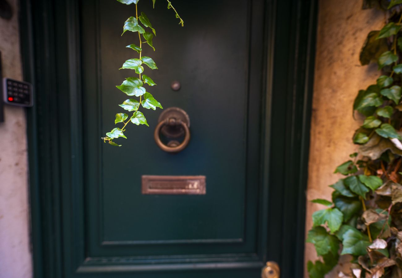 Apartment in Rome - Campanella Ivy Retreat- Under the Roman Light