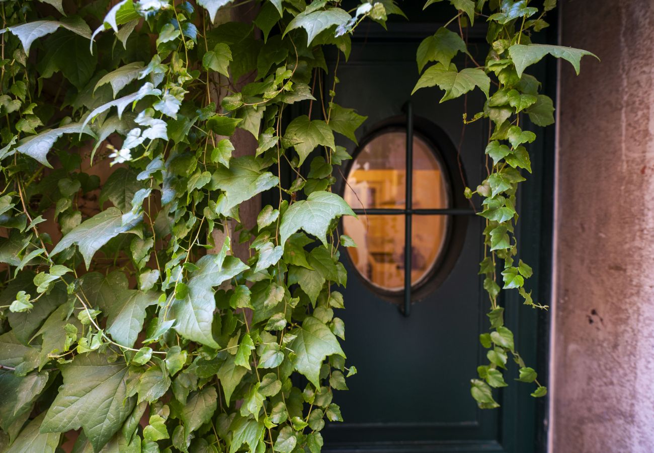 Apartment in Rome - Campanella Ivy Retreat- Under the Roman Light