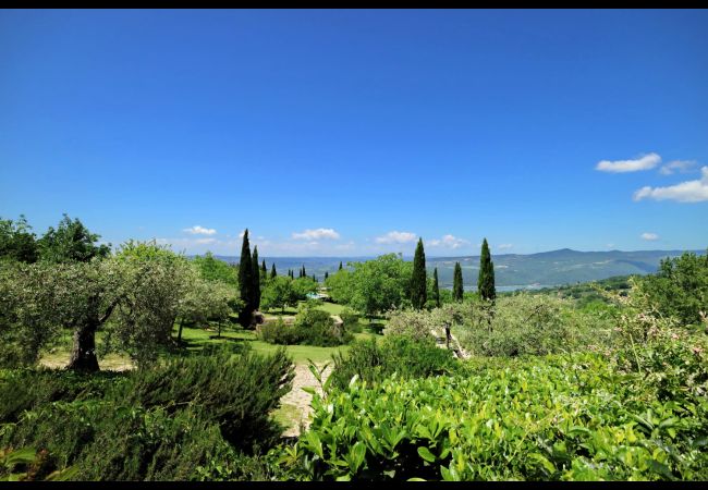 Villa in Civitella Del Lago - Countryside Pool Villa in Umbria Villa in Civitella Del Lago - Countryside Pool Villa in Umbria