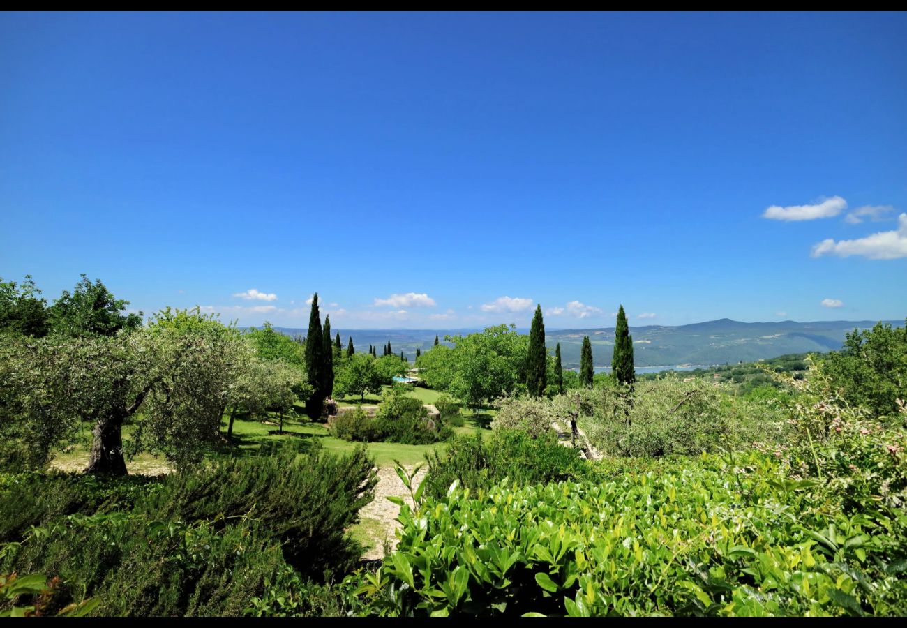 Villa in Civitella Del Lago - Countryside Pool Villa in Umbria