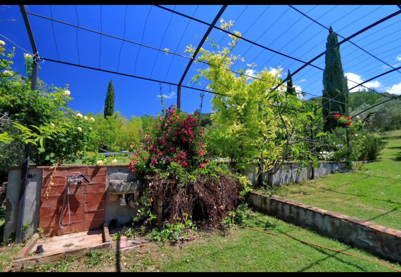 Villa in Civitella Del Lago - Countryside Pool Villa in Umbria