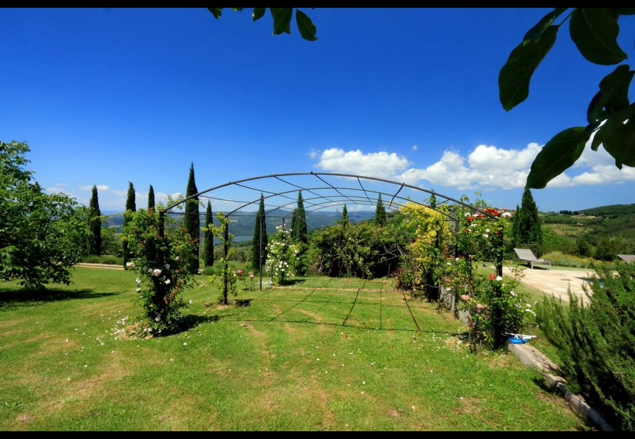 Villa in Civitella Del Lago - Countryside Pool Villa in Umbria